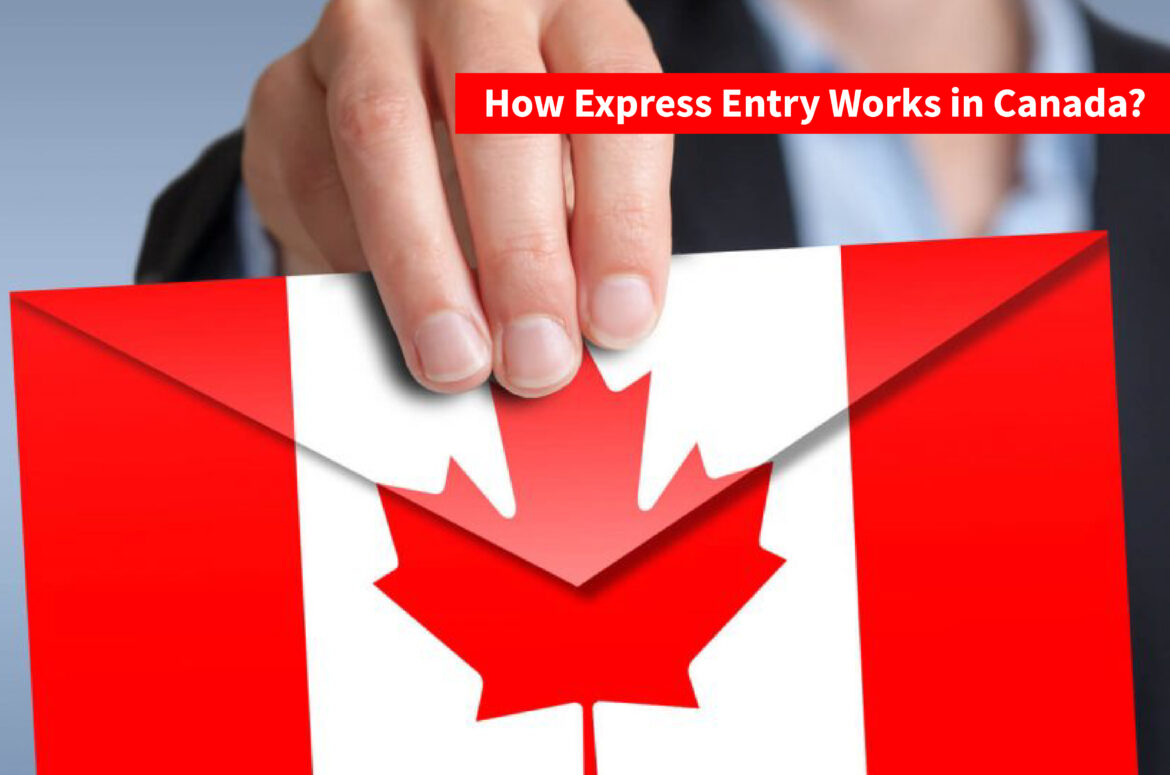 How Express Entry Works in Canada? All about Express Entry Works (EE)